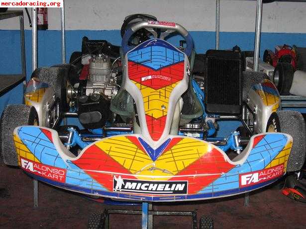 Se venden varios karts 