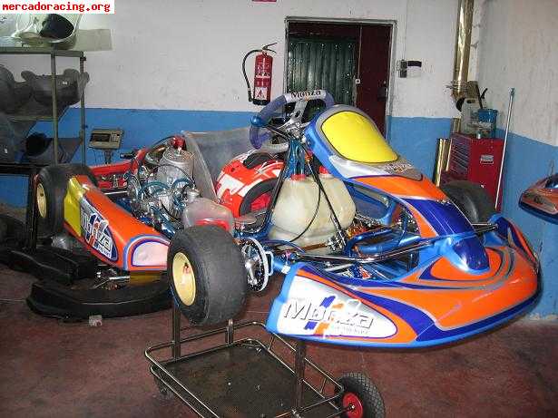 Se venden varios karts 