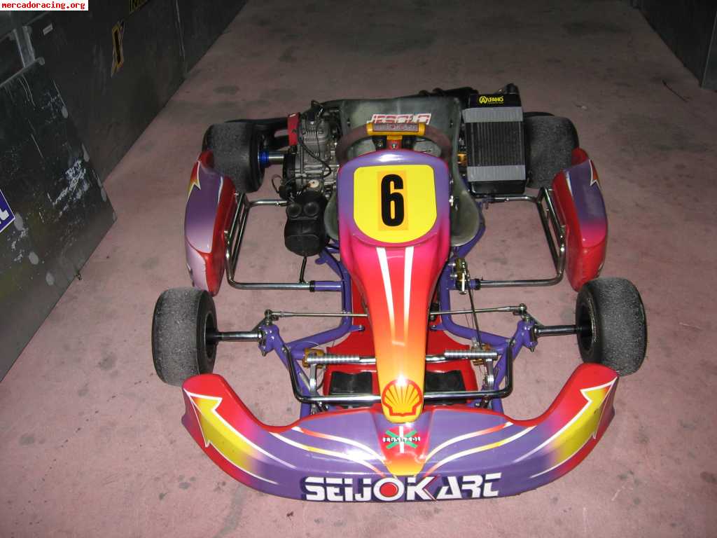 Se venden varios karts 