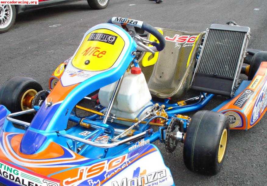 Vendo kart 125cc  6 marchas chasis monza y motor sgm todo ma