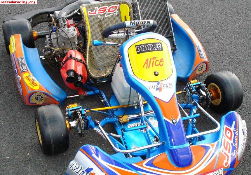 Vendo kart 125cc chasis monza y motor sgm todo material 08 m