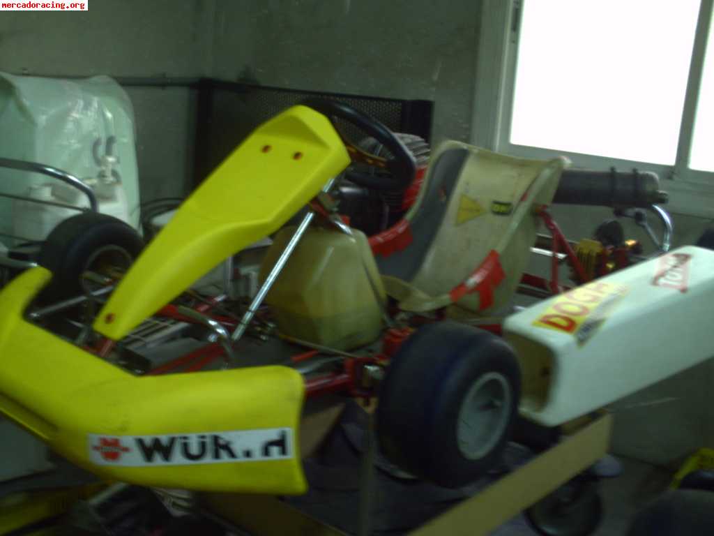 Vendo kart 100 c.c.