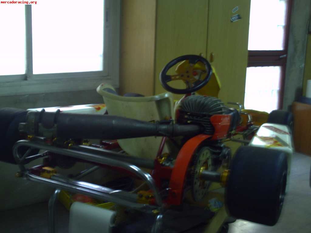 Vendo kart 100 c.c.