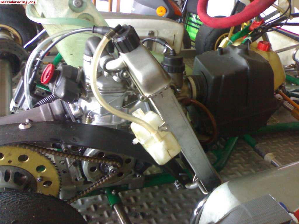 Vendo tony kart//rotax max