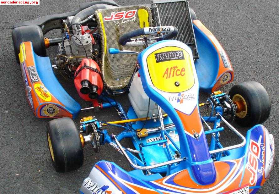 Vendo kart 125cc chasis monza y motor sgm todo material 08 m