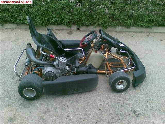 Vendo 2 karts