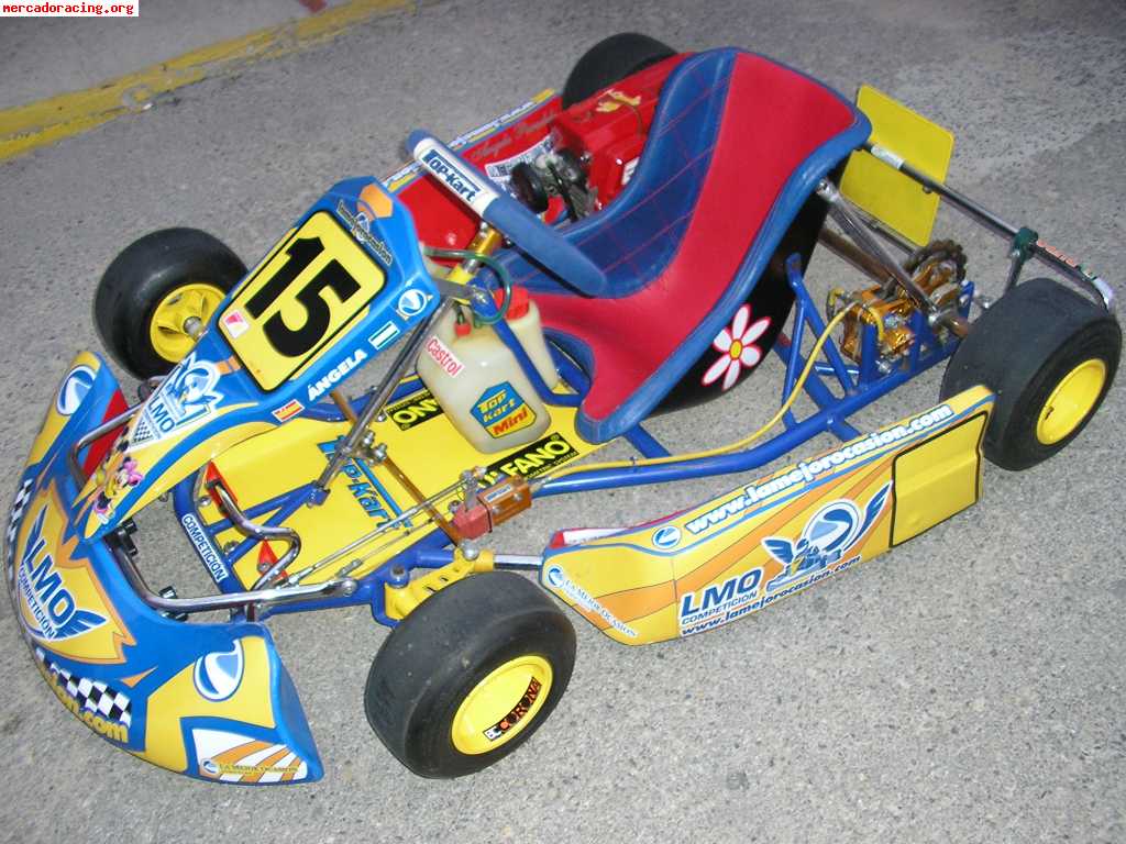 Kart cadete vendo o cambio por quad infantil