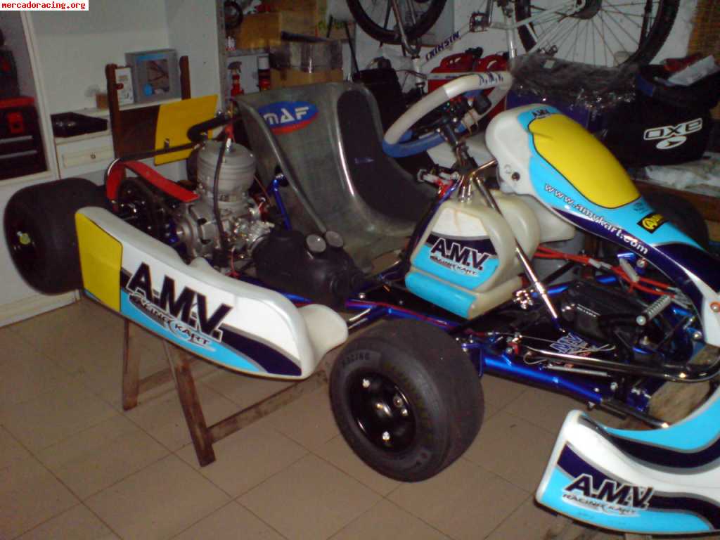 Kart amv italsistem 2008