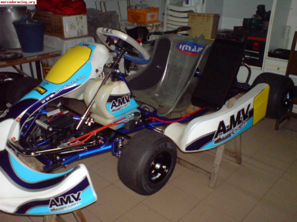 Kart amv italsistem 2008