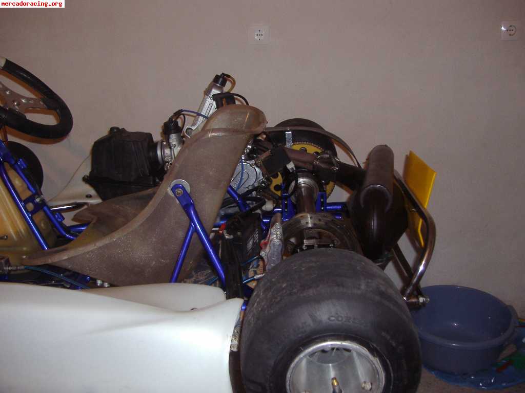Kart rottax 125 automatico impecable