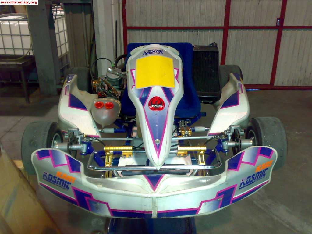 Vendo kart 125 icc impecble