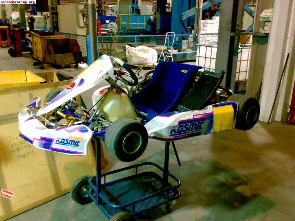 Vendo kart 125 icc impecble