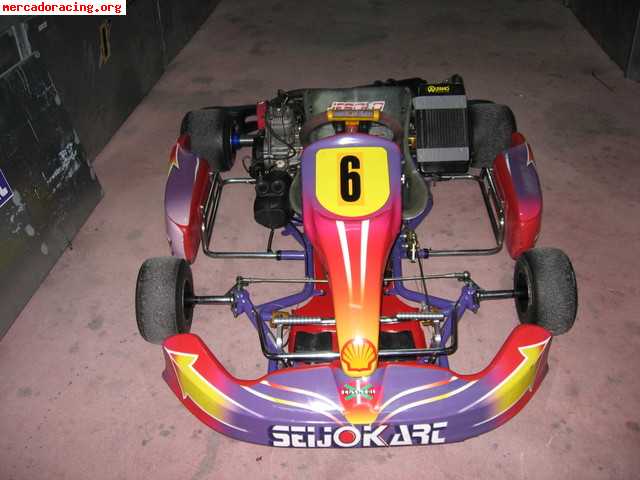 Se vende seijokart pro a / iame x30 (2006) 2000€