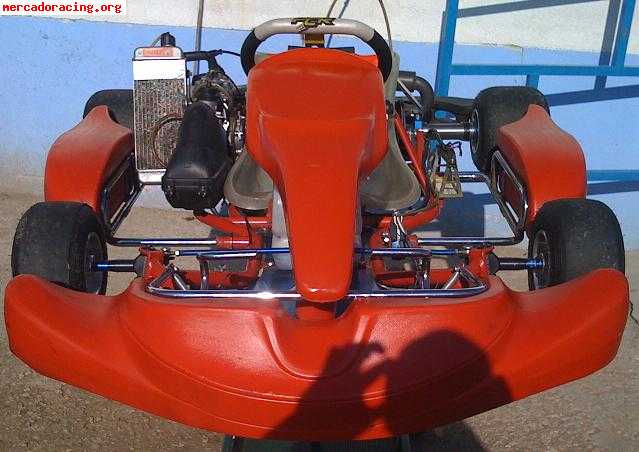Pcr motor rotax max
