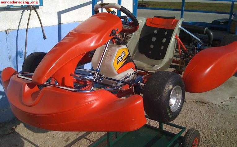 Pcr motor rotax max