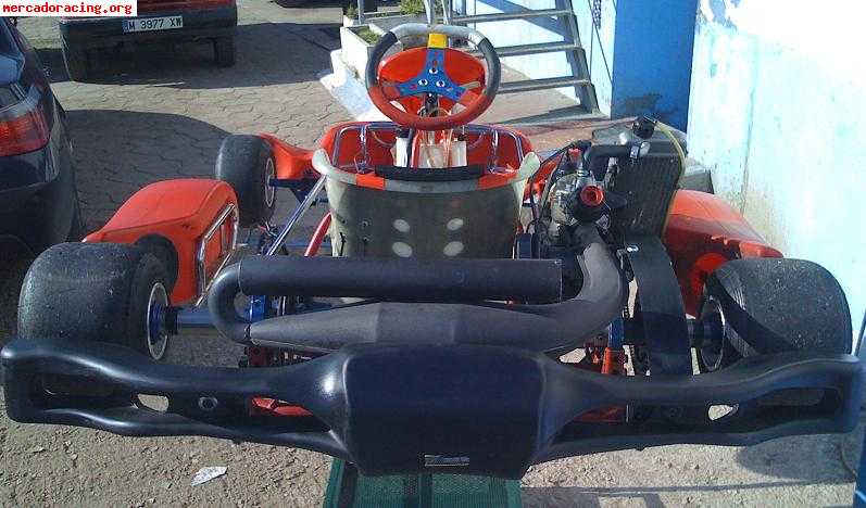 Pcr motor rotax max