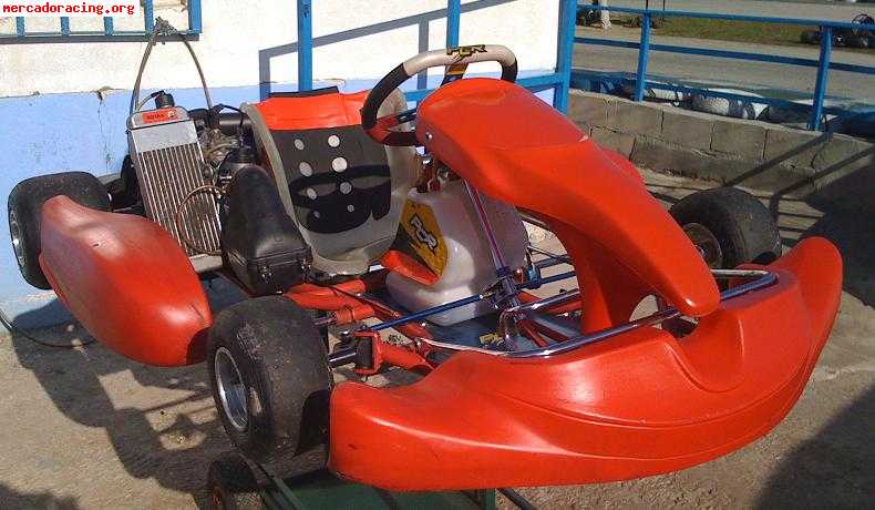 Pcr motor rotax max
