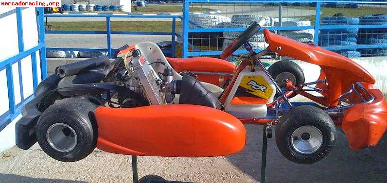 Pcr motor rotax max