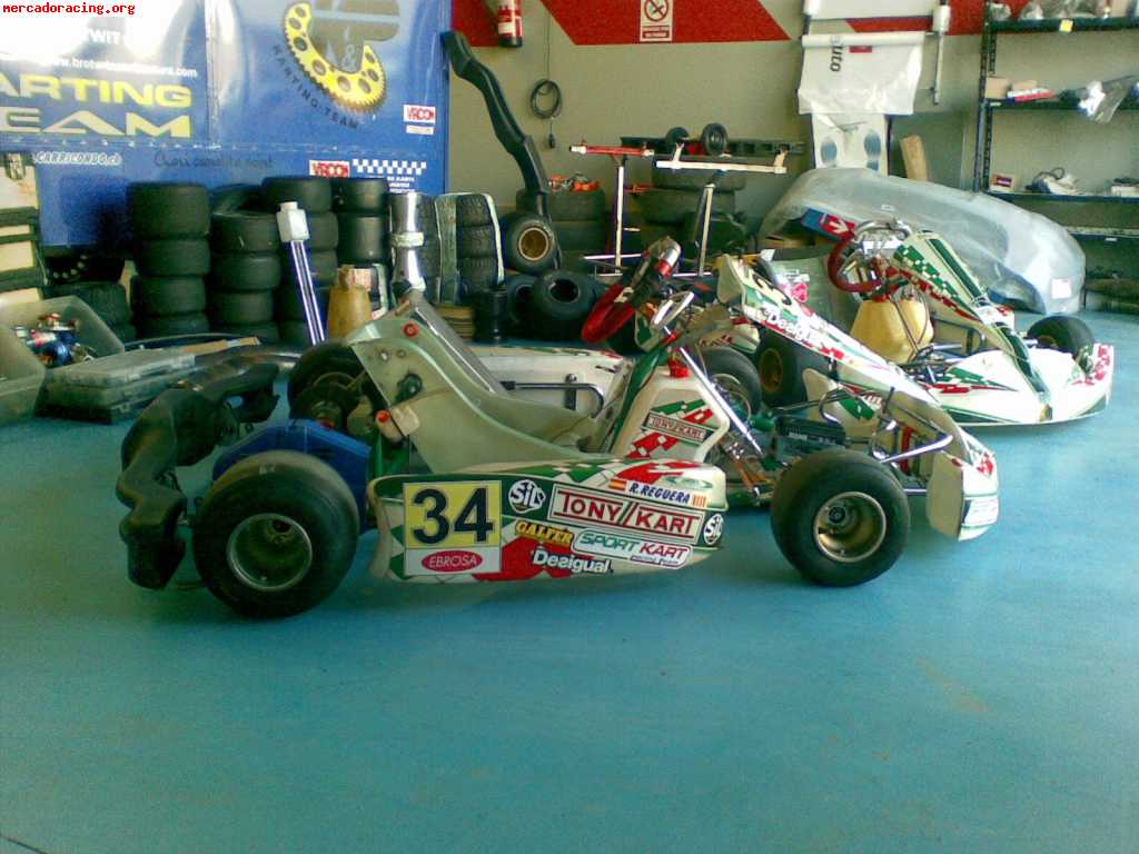 Vendo tonykart evxx kf2 con remolque