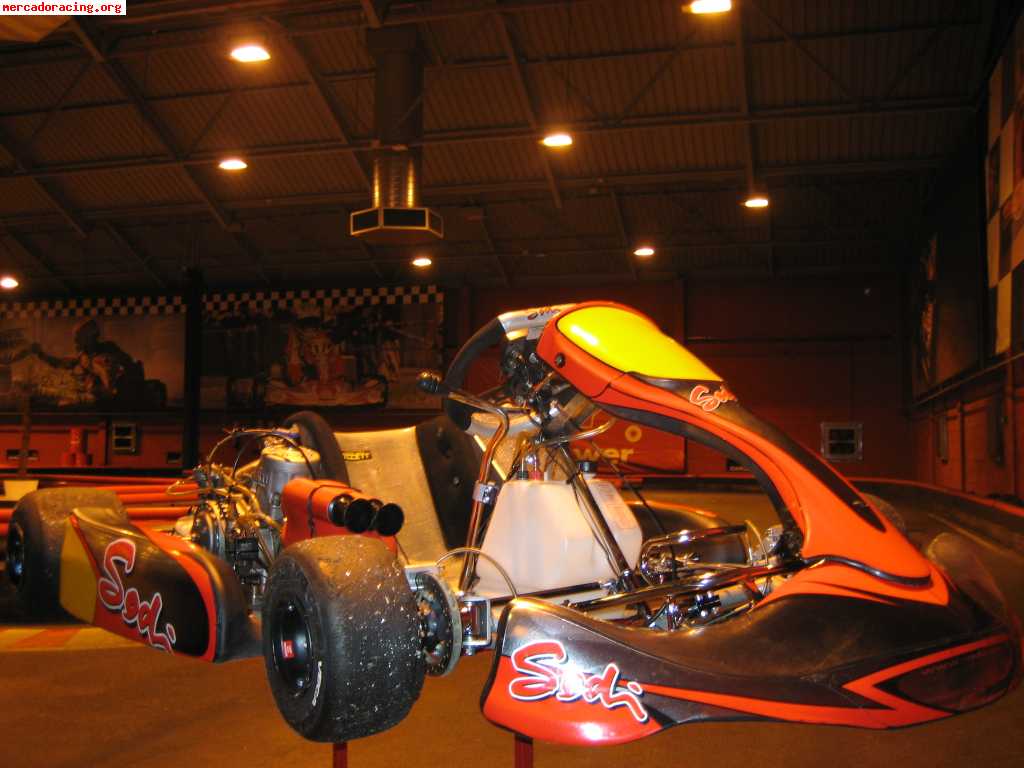 Kart competicion sodikart icc kz2 6 velocidades