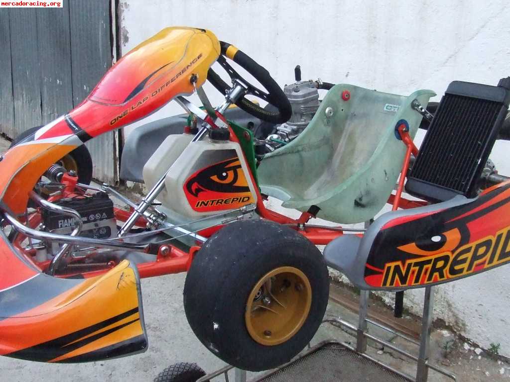 Vendo kart intrepid cruiser  con x30