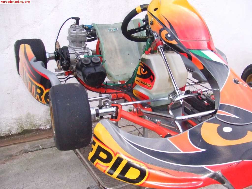 Vendo kart intrepid cruiser  con x30