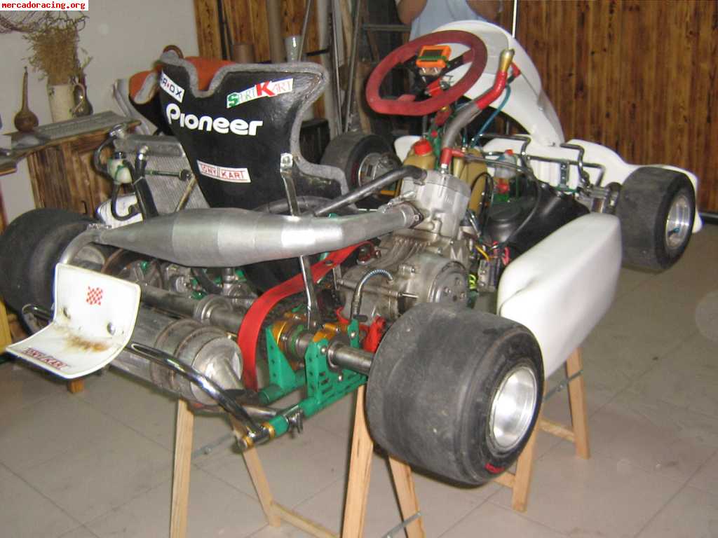 Tony kart 125 