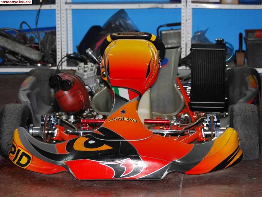 Se venden varios karts (automaticos y icc)