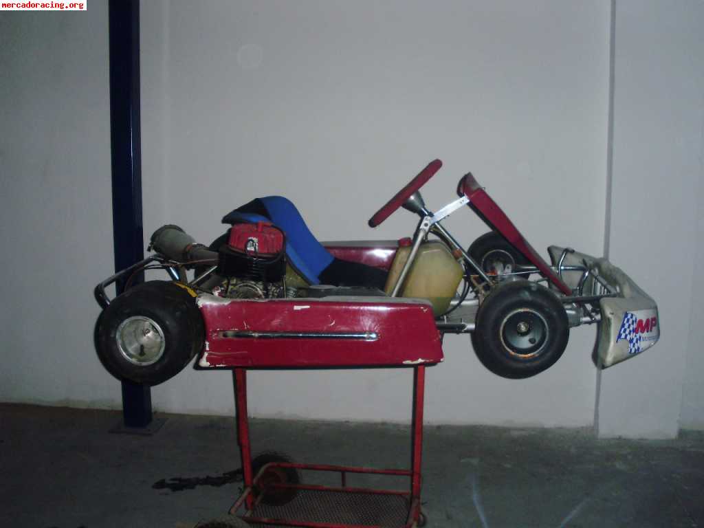 Se vende kart gripado