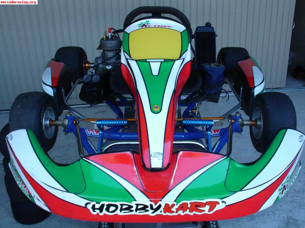 Vendo kart 125 automatico impecable