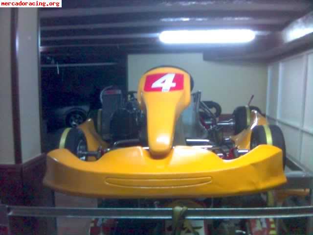 Se vende kart rotax max125