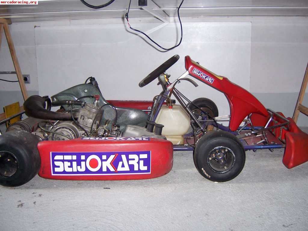 Vendo kart icc-125cc de competión