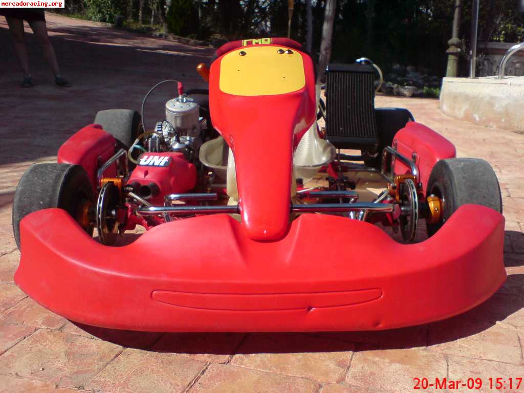 Venta o cambio kart icc cmp 2008 con motor tm k9c 6v 43,5cv 