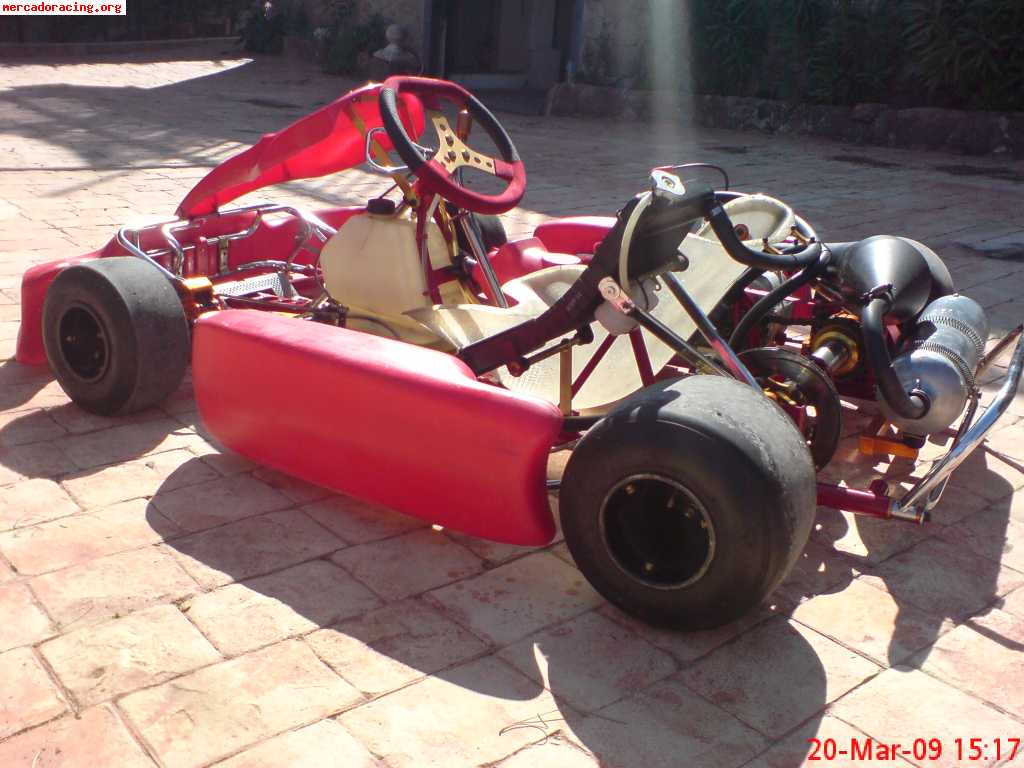 Venta o cambio kart icc cmp 2008 con motor tm k9c 6v 43,5cv 