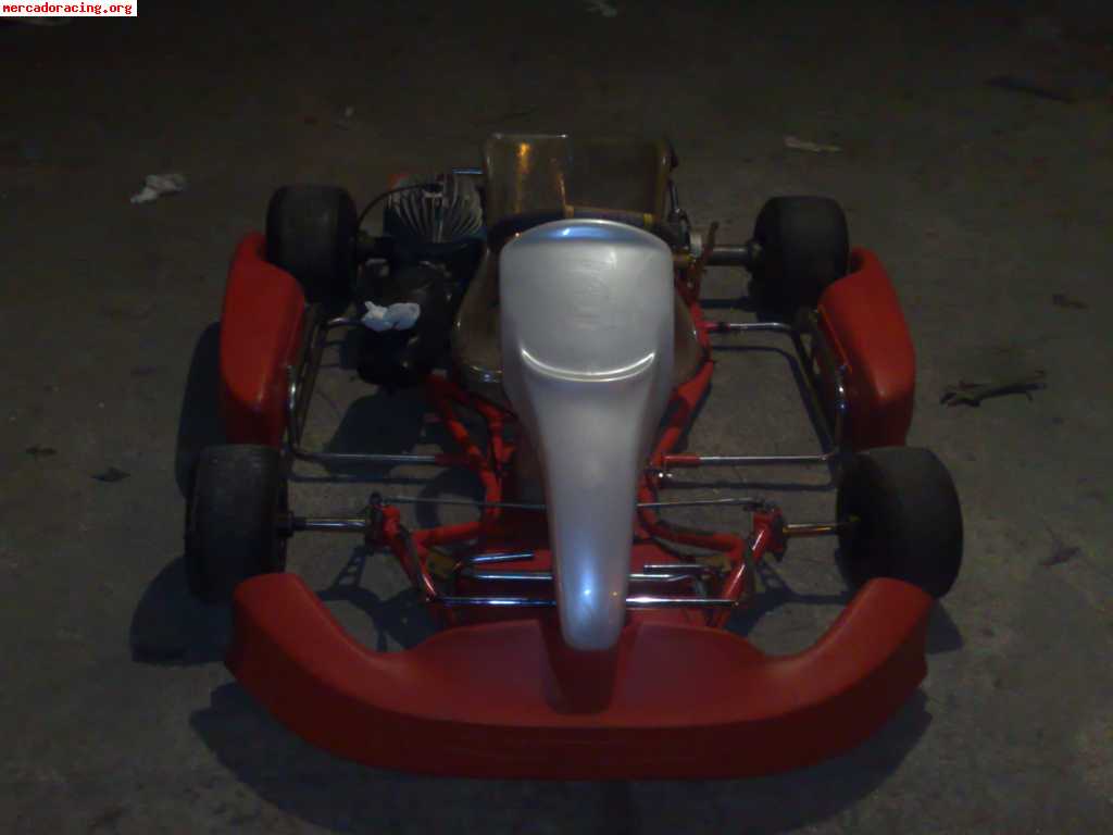 Vendo un seijokart con motor tm de 100cc