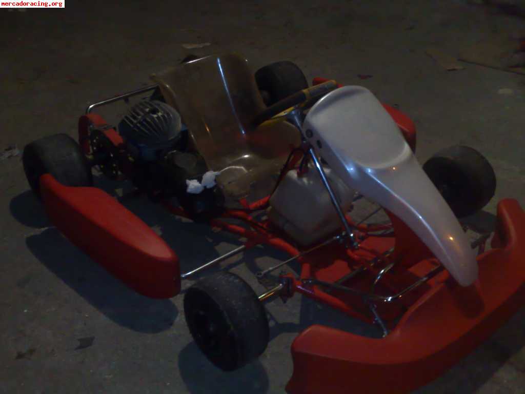 Vendo un seijokart con motor tm de 100cc