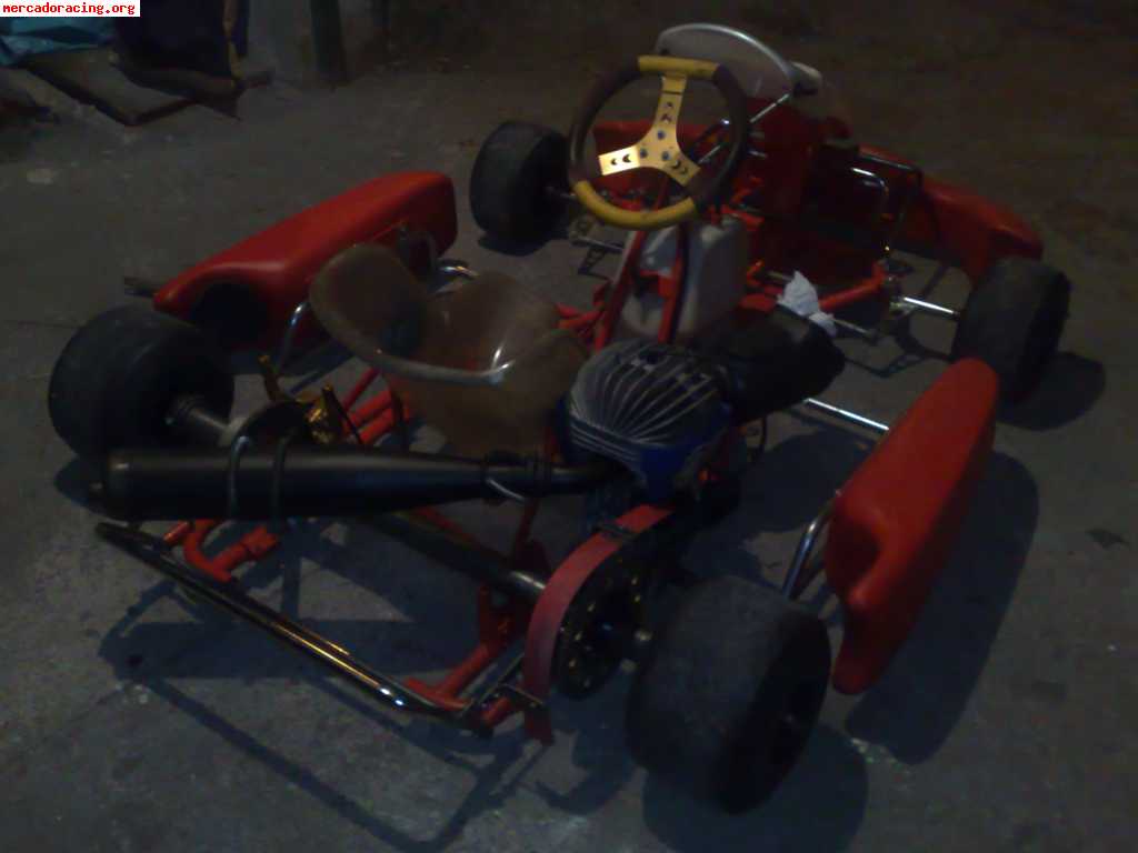 Vendo un seijokart con motor tm de 100cc