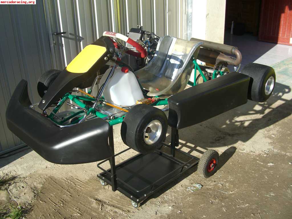 Vendo tony kart rotax max + remolque + alfano + ....