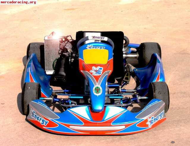 Vendo kart energy corse kinetic con rotax max fr 2007