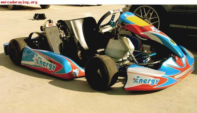 Vendo kart energy corse kinetic con rotax max fr 2007