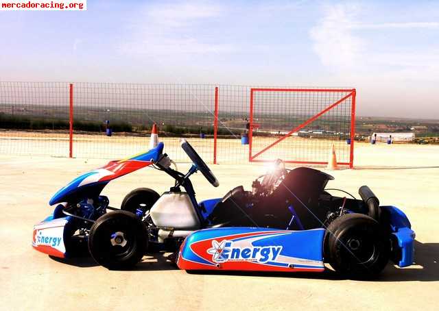 Vendo kart energy corse kinetic con rotax max fr 2007