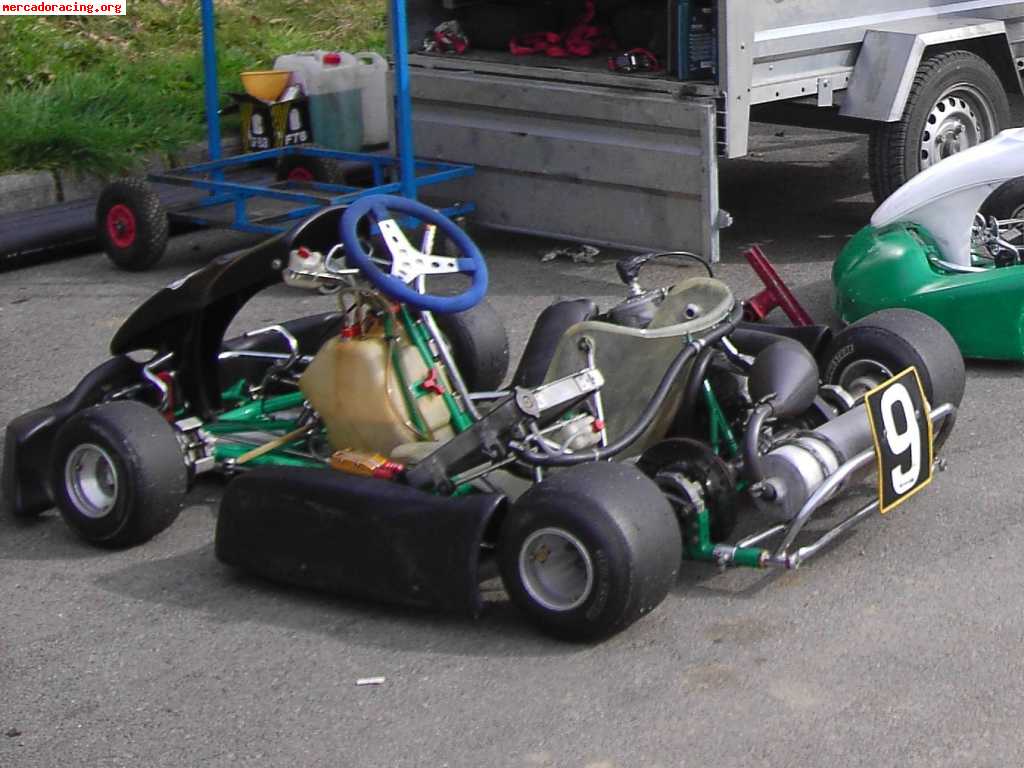 Vendo karts:(icc 125 y 125 automático)