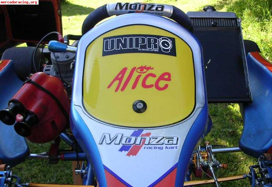 Kart 125cc icc/kz2  8 horas de uso chasis monza y motor sgm 