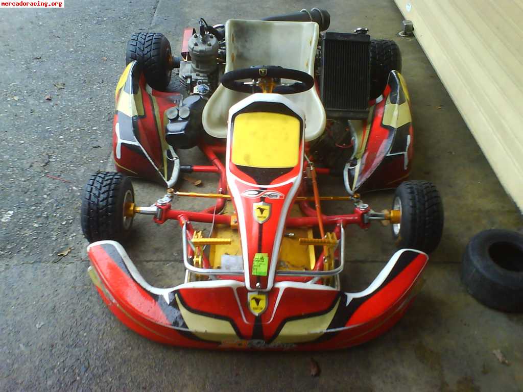 Se vende kart sq racing evolution con homologacion hasta 201