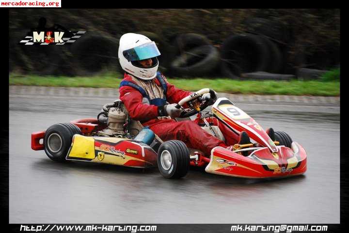 Se vende kart sq racing evolution con homologacion hasta 201