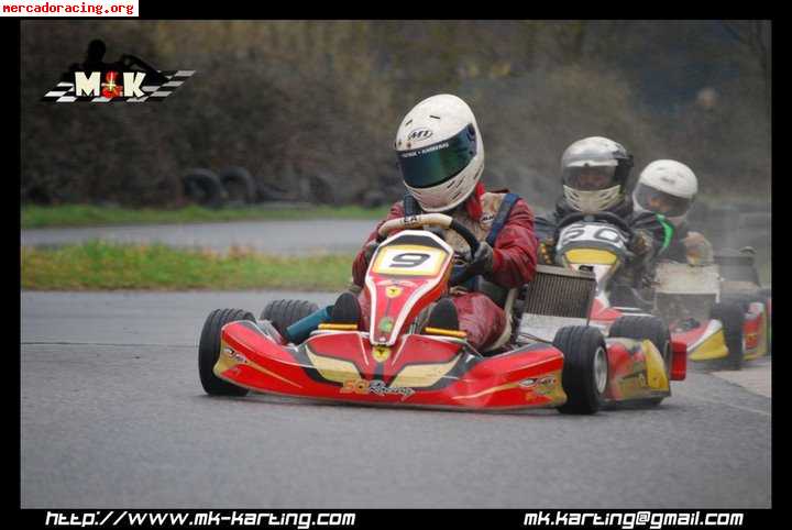 Se vende kart sq racing evolution con homologacion hasta 201