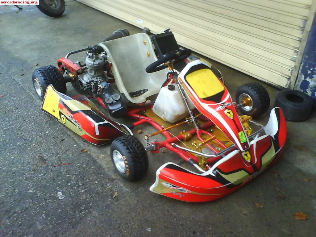 Se vende kart sq racing evolution con homologacion hasta 201