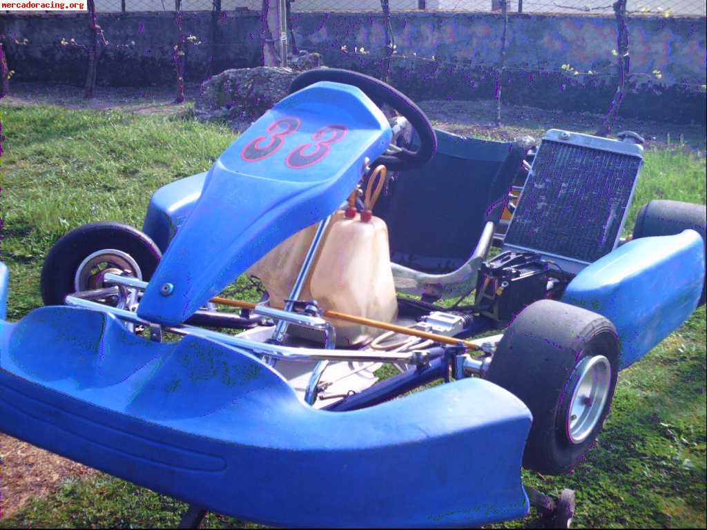 Vendo kart com motor sonik 125 c.c. super precio...