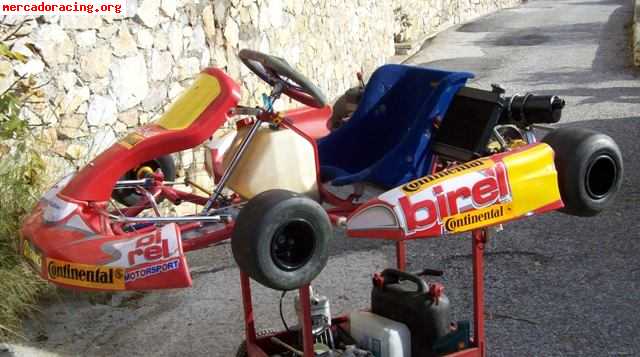 Birel r31   pcr tsl