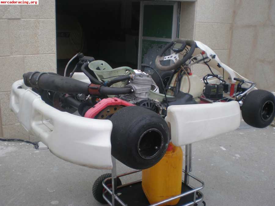 Kart 125 automatico - motor iame parrilla